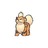 Mascotas pokemon para la nación del fuego 96px-Growlithe_XY