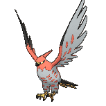 Talonflame_XY.png