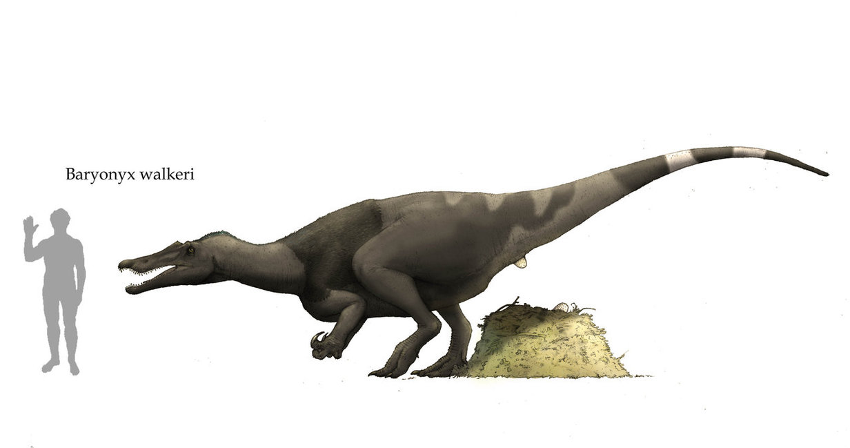 baryonyx speed