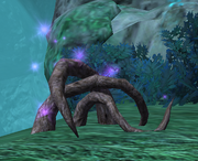 Talon Roots