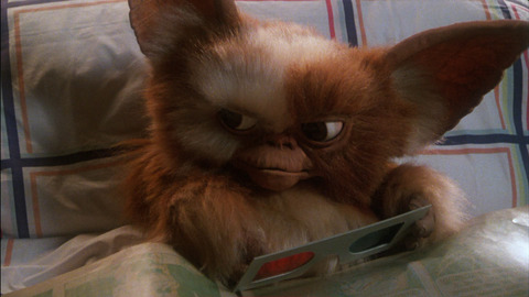 Gizmo-gremlins_480x270.jpg