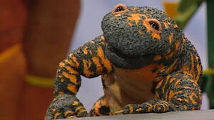 GabiGilaMonster