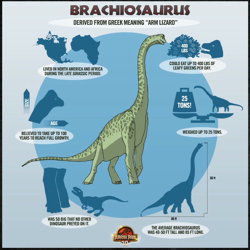 about brachiosaurus