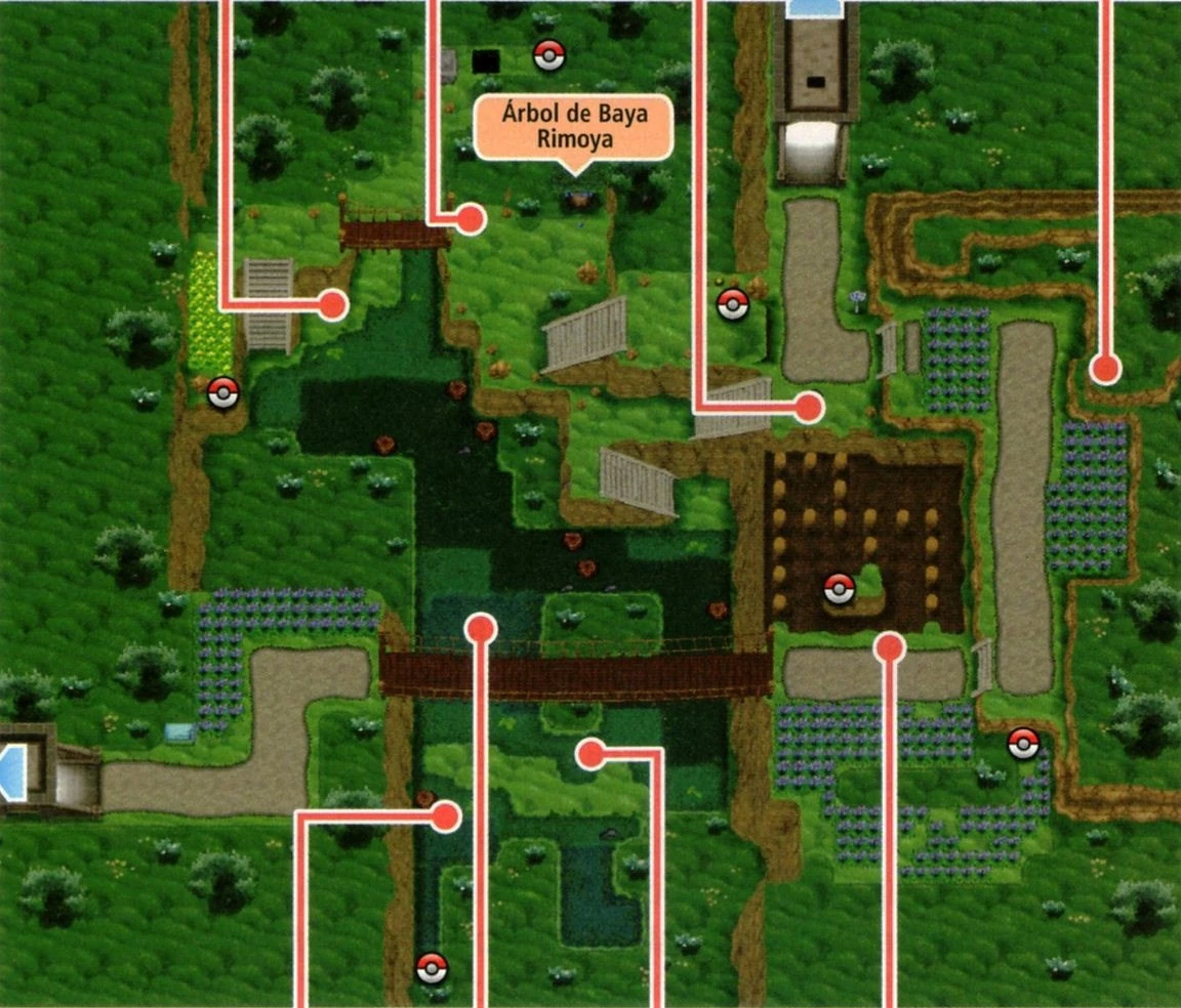 Ruta 19 (Kalos) WikiDex, la enciclopedia Pokémon