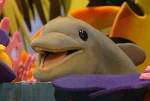 Fluke the Dolphin
