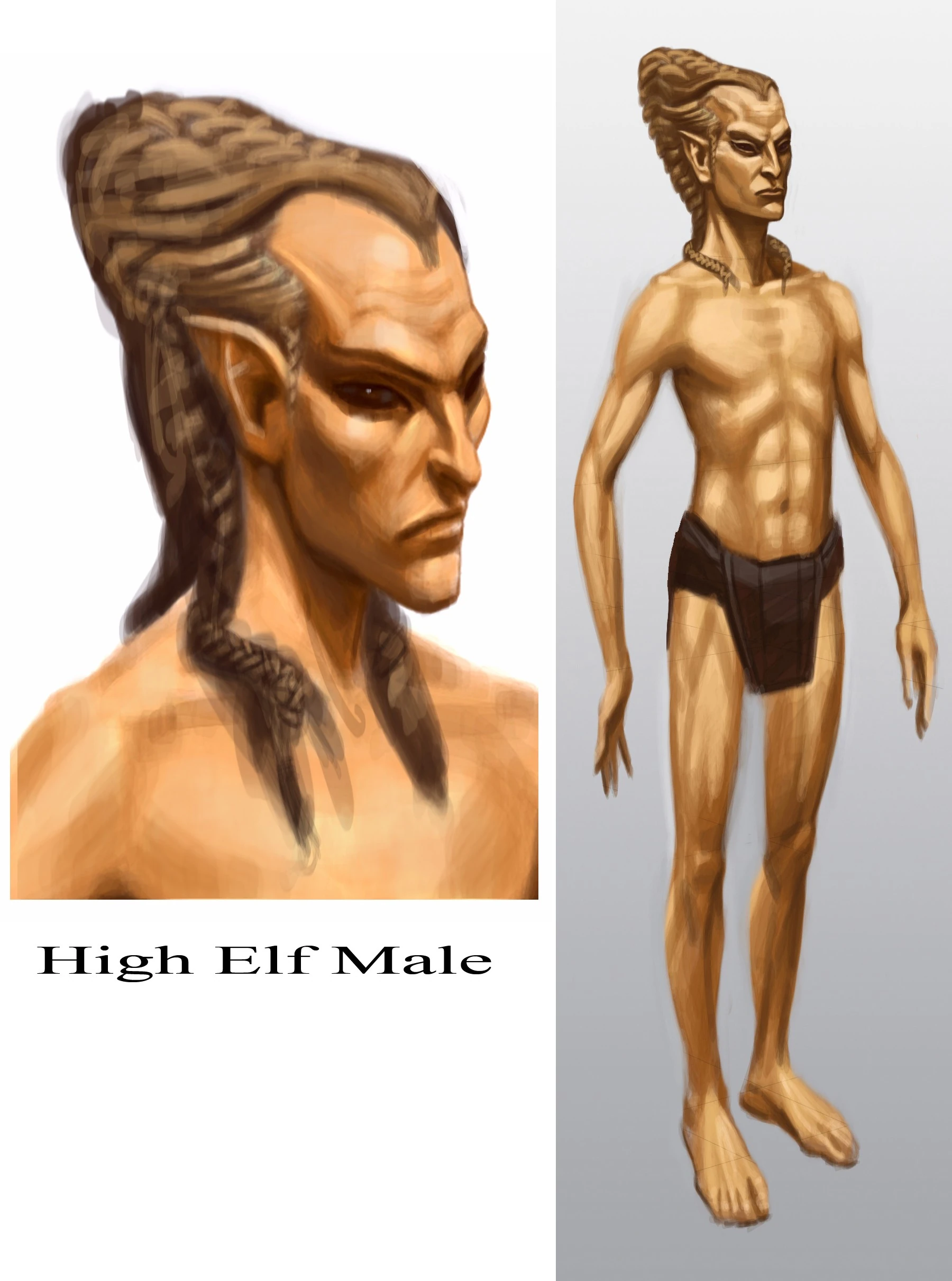 High_Elf_Male.jpg