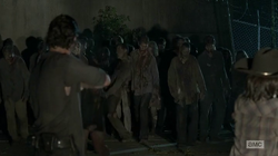 FenceWalkers