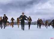 Best-twilight-scenes-breaking-dawn-part-2-fight-580x417