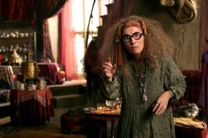 P3 Sybill Trelawney