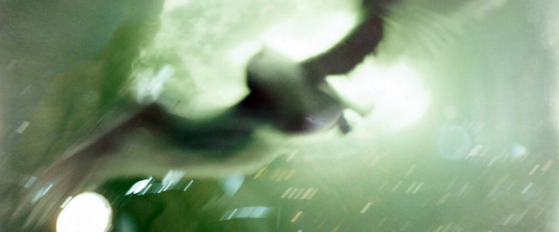Hedwig Harry Potter Wiki