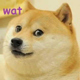 Wat_doge.png