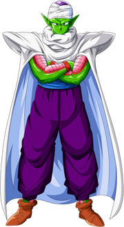 Piccolo Trans