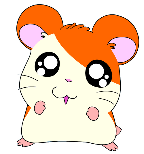 http://img3.wikia.nocookie.net/__cb20131213011144/hamtaro/images/thumb/4/49/Hamtaro_1.gif/500px-Hamtaro_1.gif.png