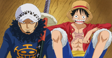 Law y luffy
