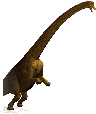 Image - Diplodocus-height.png - Walking With Wikis - the ...