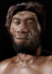 Homo erectus pekinensis