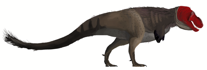 Tyrannosaurus rex mmartyniuk
