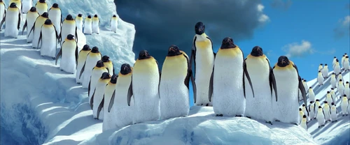 The Elders - Happy Feet Wiki, The Movie-Based Happy Feet Encyclopedia