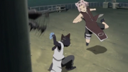 Sakura se enfrenta a un gato ninja