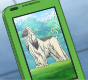 Atobe's Beat