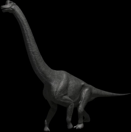 wiki brachiosaurus