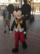 Mickey in SMB