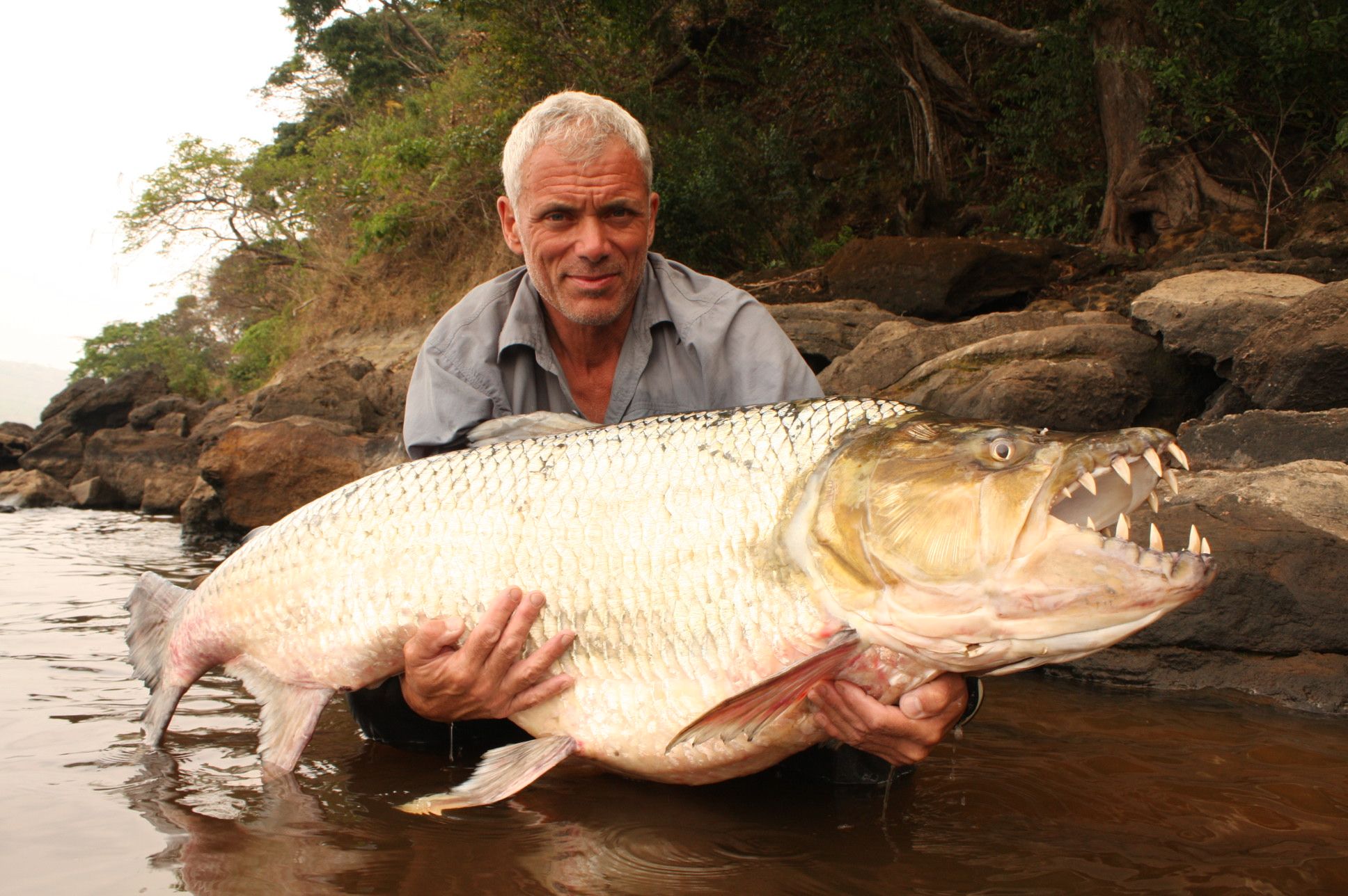 http://img3.wikia.nocookie.net/__cb20140104164232/river-monsters/images/c/c0/Tigerfish1.jpg