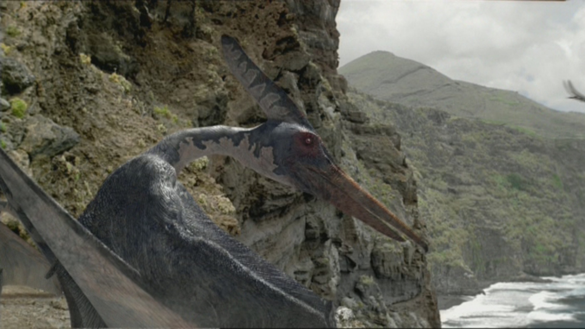 the pteranodon