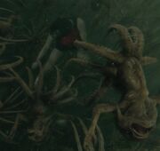 Harry defending himself against Grindylows