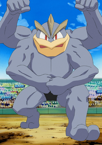 Gavin Machamp