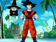 Goku e Baba