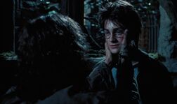 Harry and Sirius