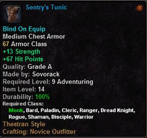 Sentry's Tunic