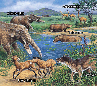 cenozoic dinosaurs