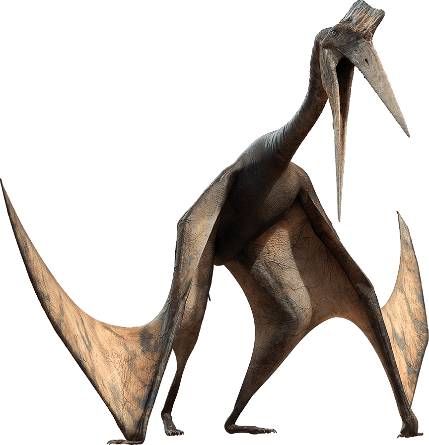 pterosaur walking