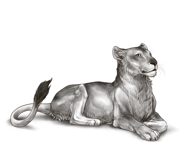 Marking Guide Lioden Wiki