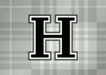 HKT48 Flag TeamH