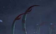Stinger tail