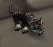 Nightsaber Cub