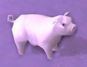 Silver Pig