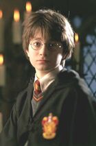 Harry year one