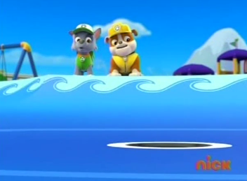 paw patrol water