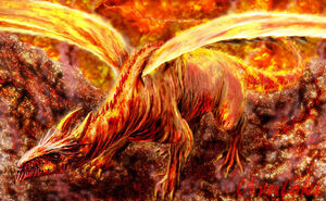 Dealgon