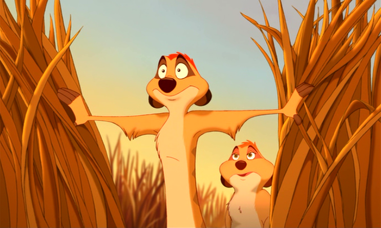 download timon the lion king