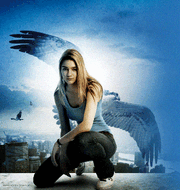 Max-max-maximum-ride-32018350-972-1024