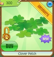 Clover patch