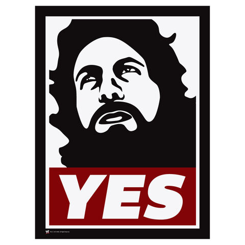 http://img3.wikia.nocookie.net/__cb20140306210124/prowrestling/images/thumb/2/24/Daniel_Bryan_YES_Movement_Poster.jpg/480px-Daniel_Bryan_YES_Movement_Poster.jpg