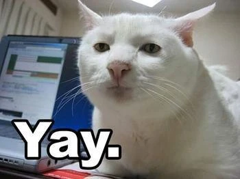 Sarcastic_Yay.jpeg
