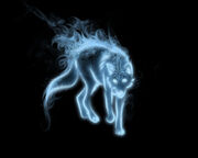 Wolf patronus