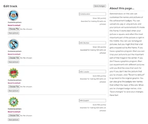 File:Achievement badges.png